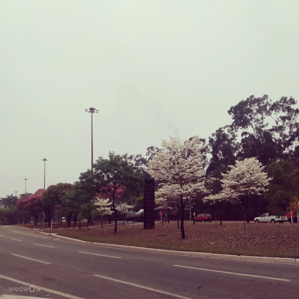 Photos météo à Ipatinga. Prévisions météo avec de superbes photos de Marii