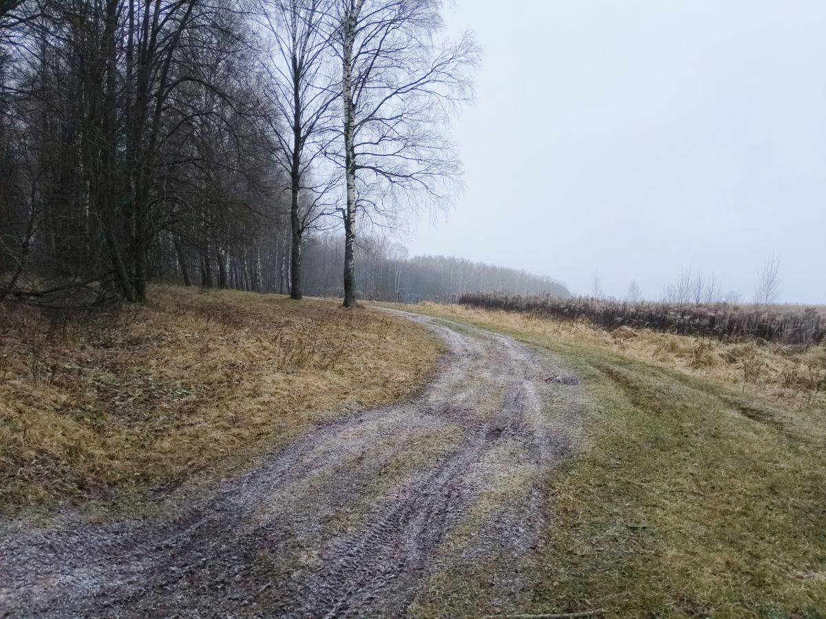 Tula的天气照片. 天气预报，带Aleksei精美的照片