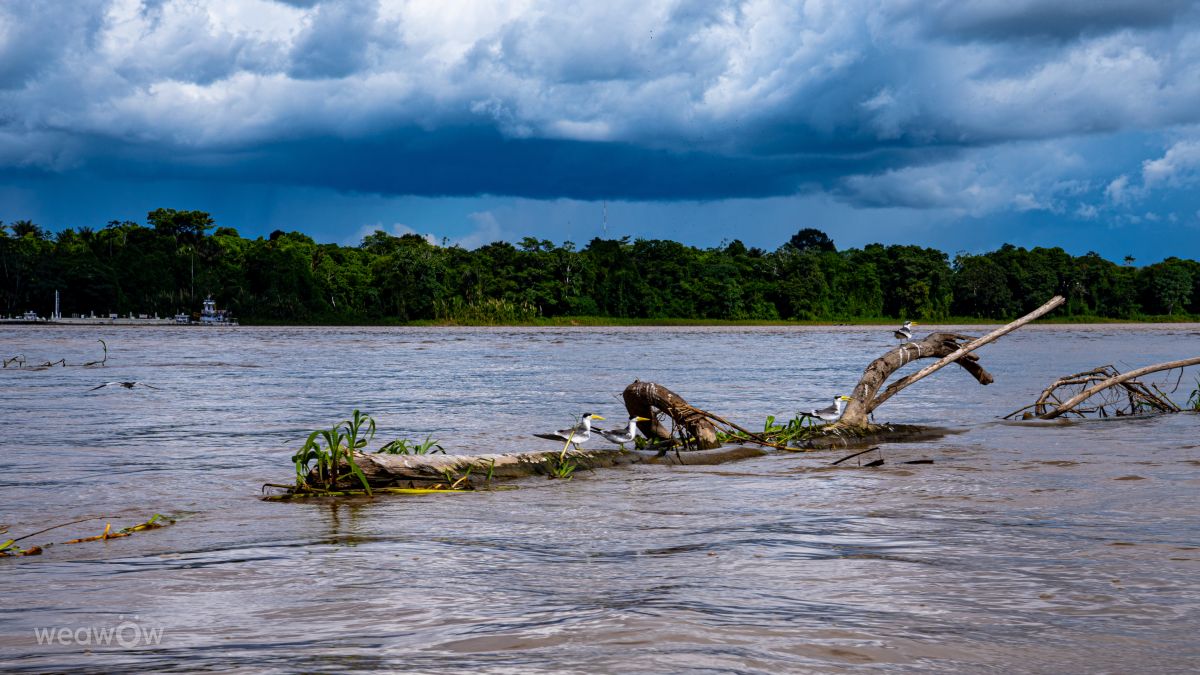 Pronósticos del tiempo con hermosas fotos de vlobes