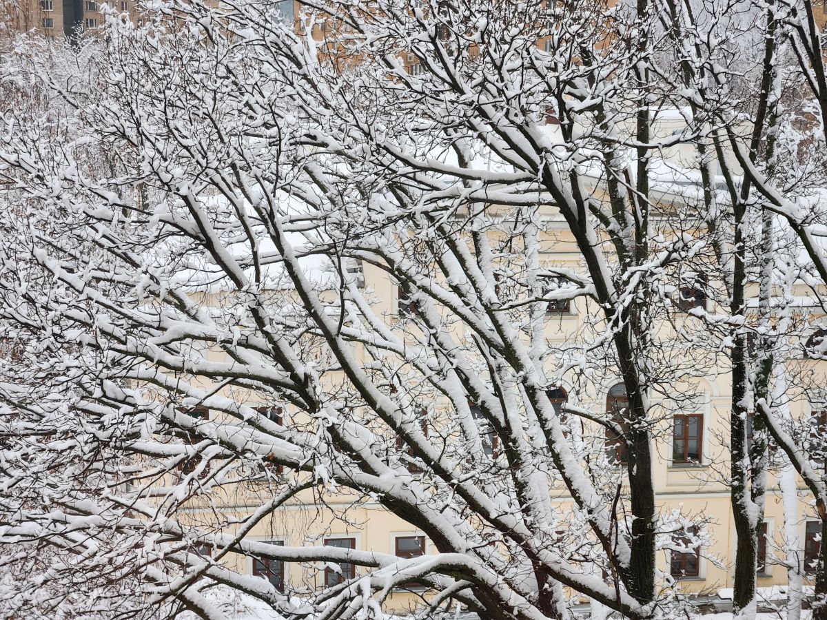 Weather Photos in Moscow. Weather forecasts with beautiful photos by ElenaOlsen