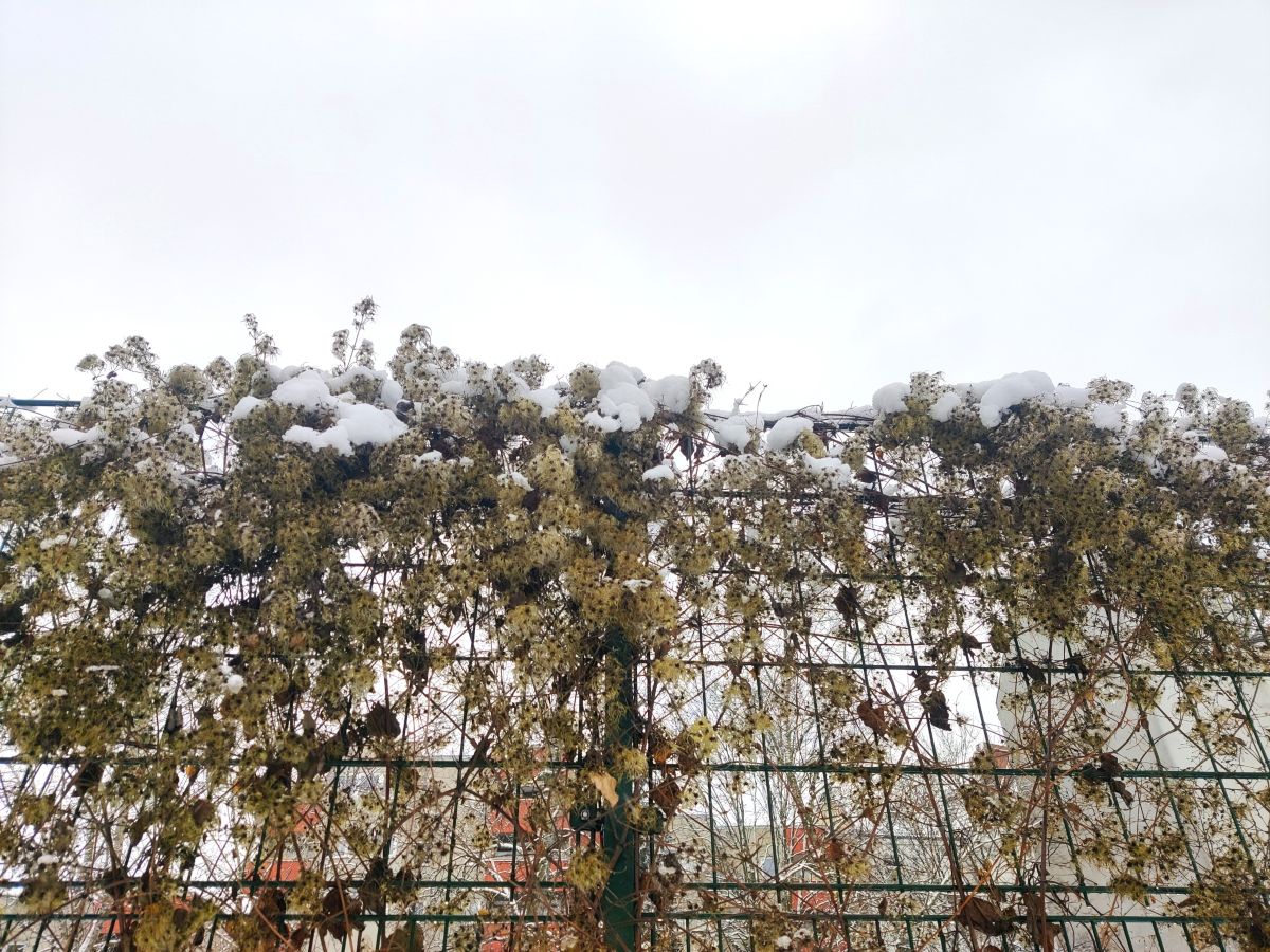 Фотограф Zorrra, Фотографии Погоды в Neukölln - Weawow