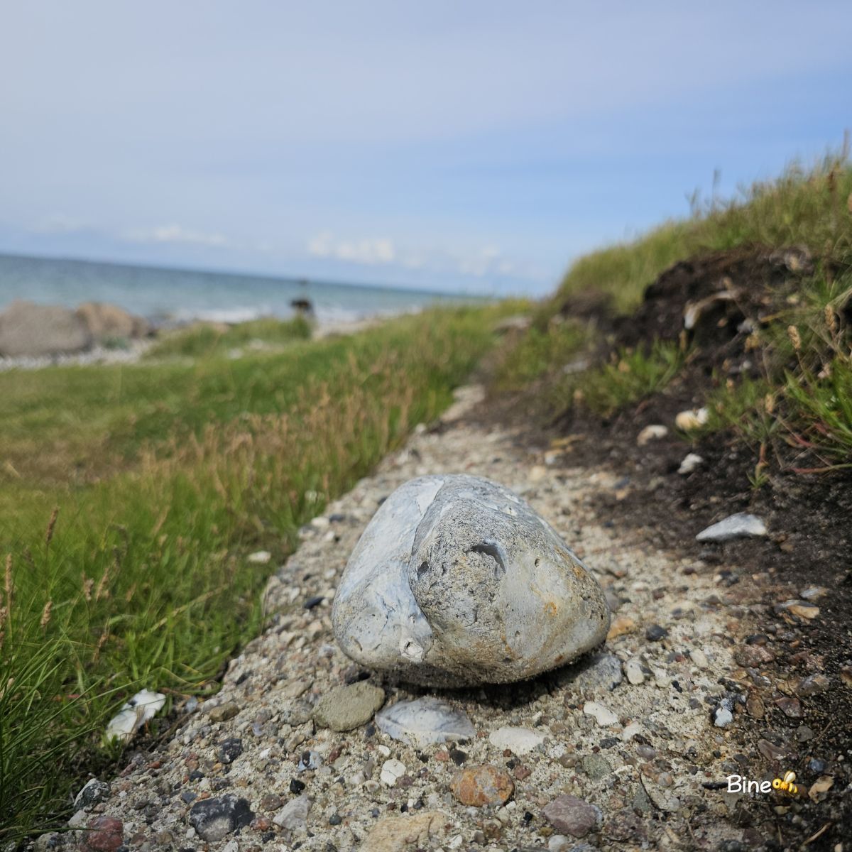 photographer-binelina-weather-photos-in-westermarkelsdorf-weawow