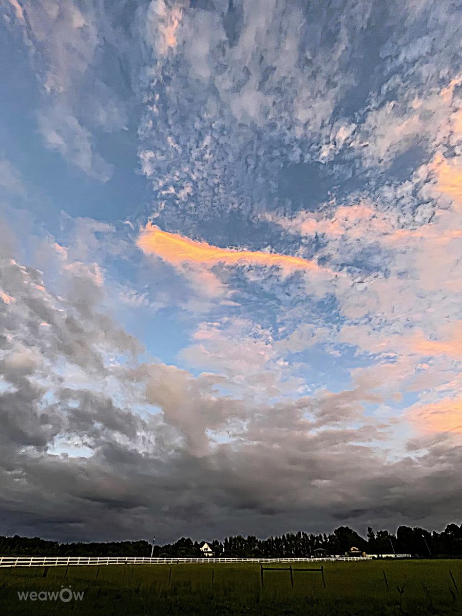 Photographe BJTHinSC, Photos météo à Mullins - Weawow