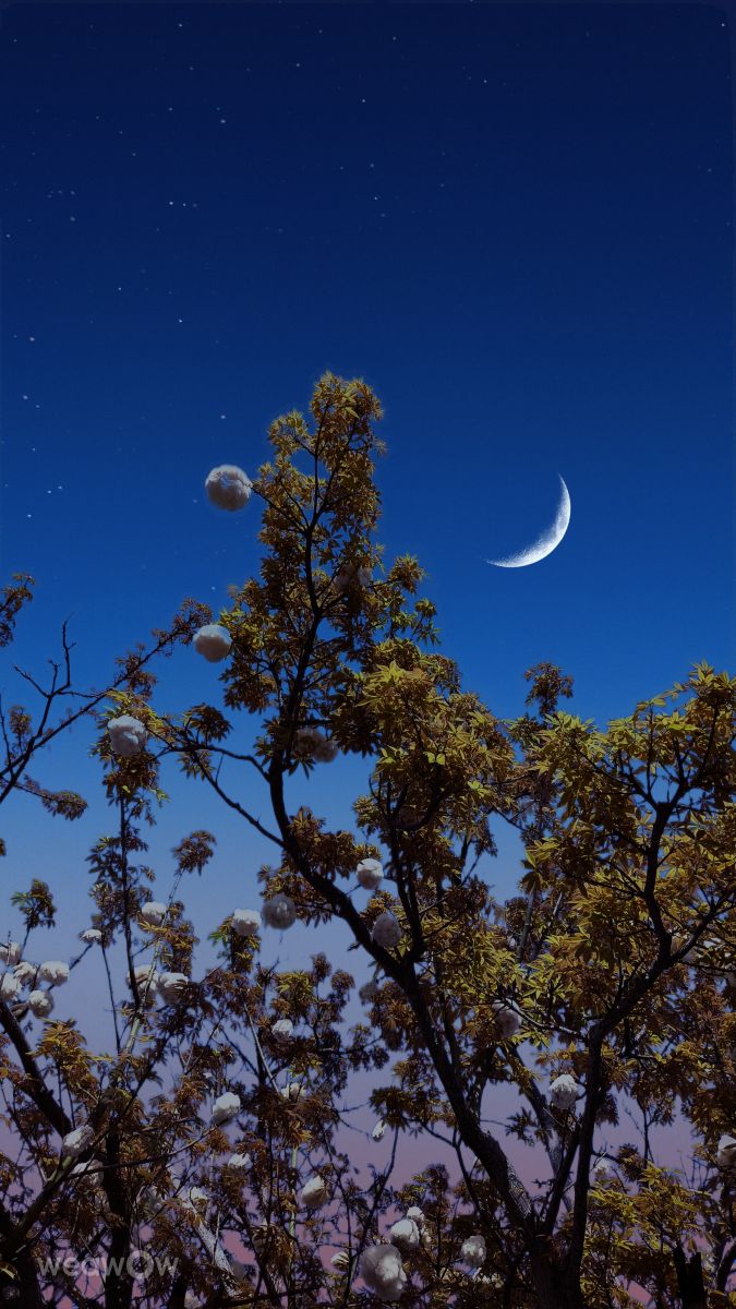 Fotografos Takimi-sky, Fotos do tempo em Omoromachi - Weawow