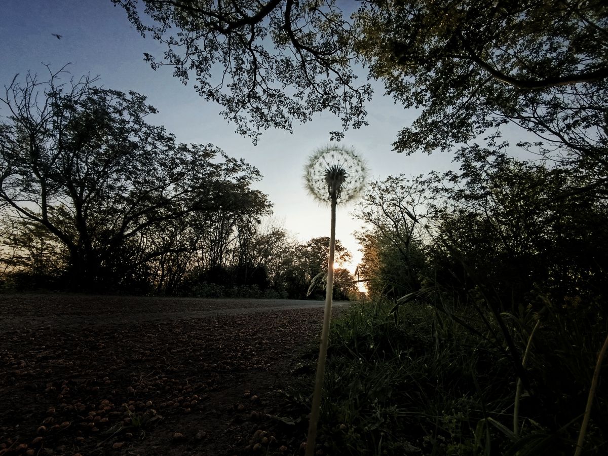 Weather Photos in Entre Rios. Weather forecasts with beautiful photos by Martognoli