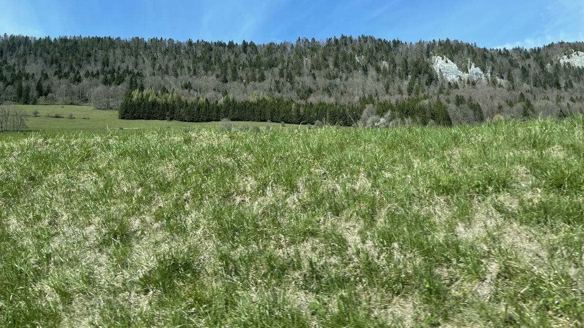 Photos météo à Sonvilier. Prévisions météo avec de superbes photos de SwissEloi