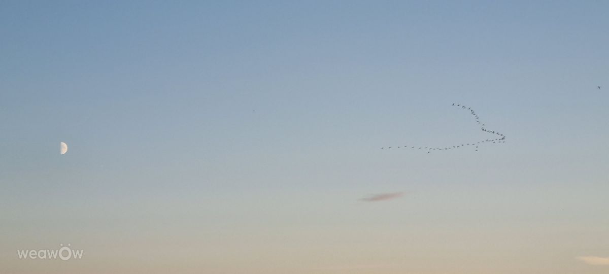 Photographer DaB, Weather Photos in Krommenhoeke - Weawow