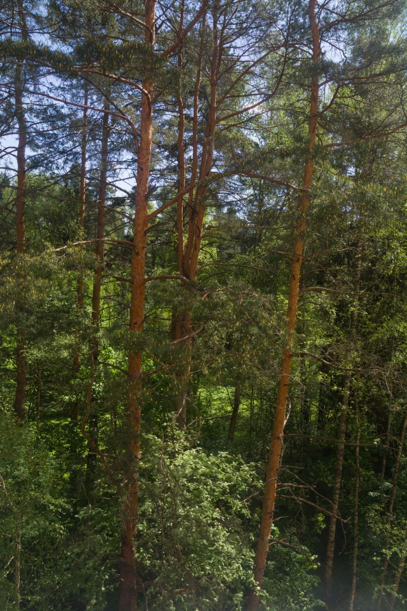 Weather Photos in Pravdinskiy. Weather forecasts with beautiful photos by AlexZX