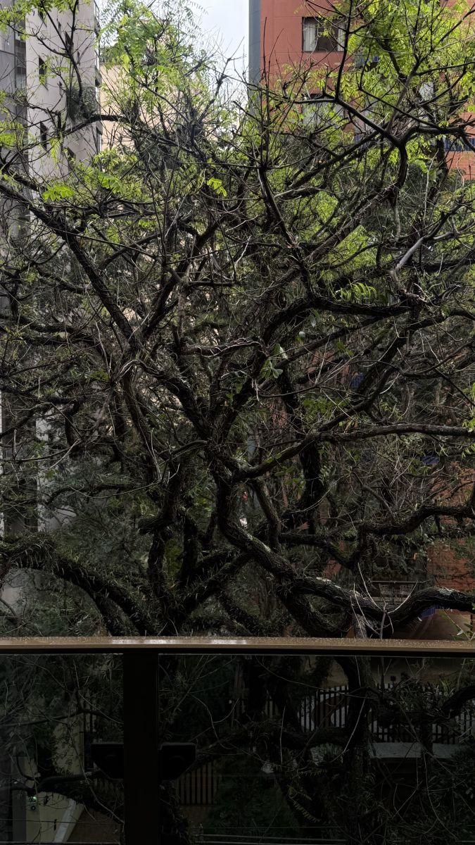 Weather Photos in Brazil. Weather forecasts with beautiful photos by NiltonProenca