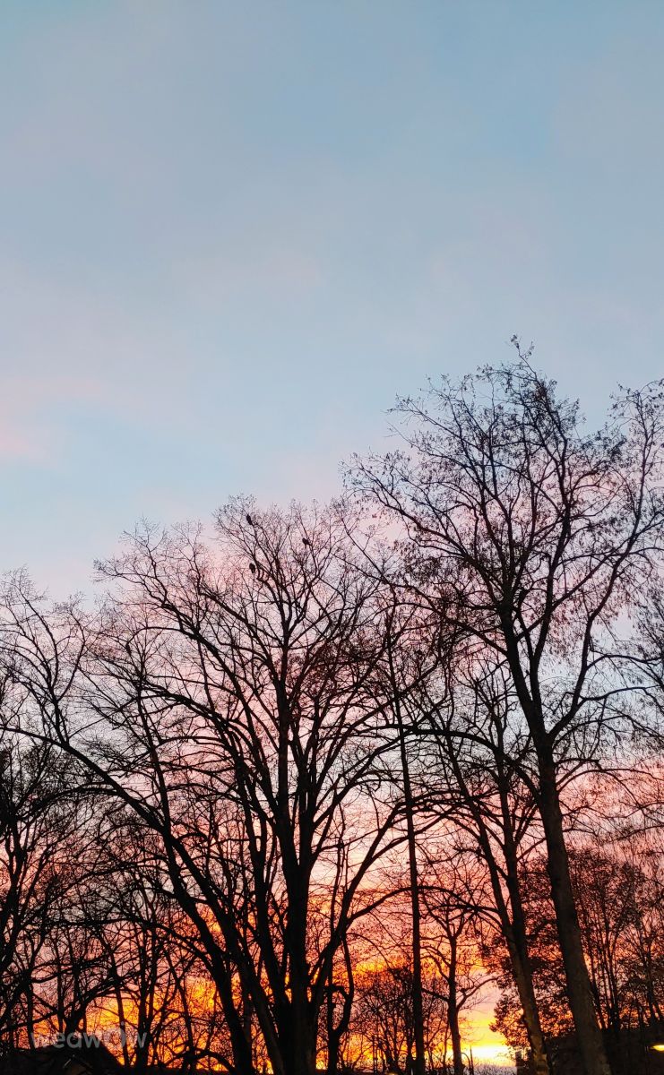 Photos météo à Palanga. Prévisions météo avec de superbes photos de Jazzinevirga