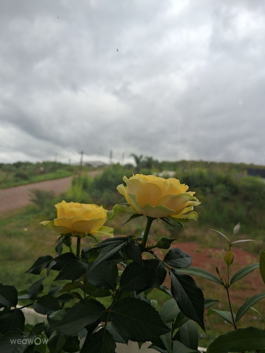 Santa Catarina的天气照片. 天气预报，带ndresilva精美的照片