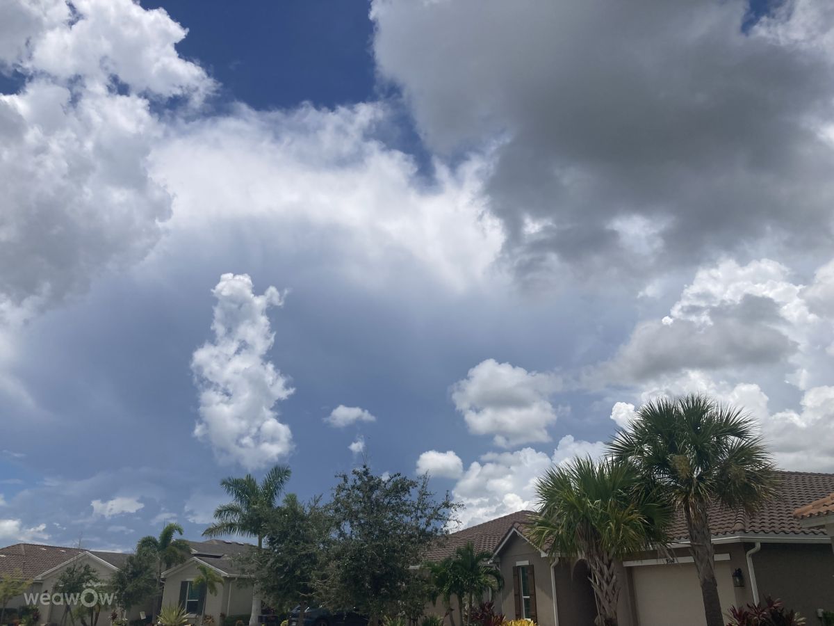 FaeryInFloridaの美しい写真による天気予報