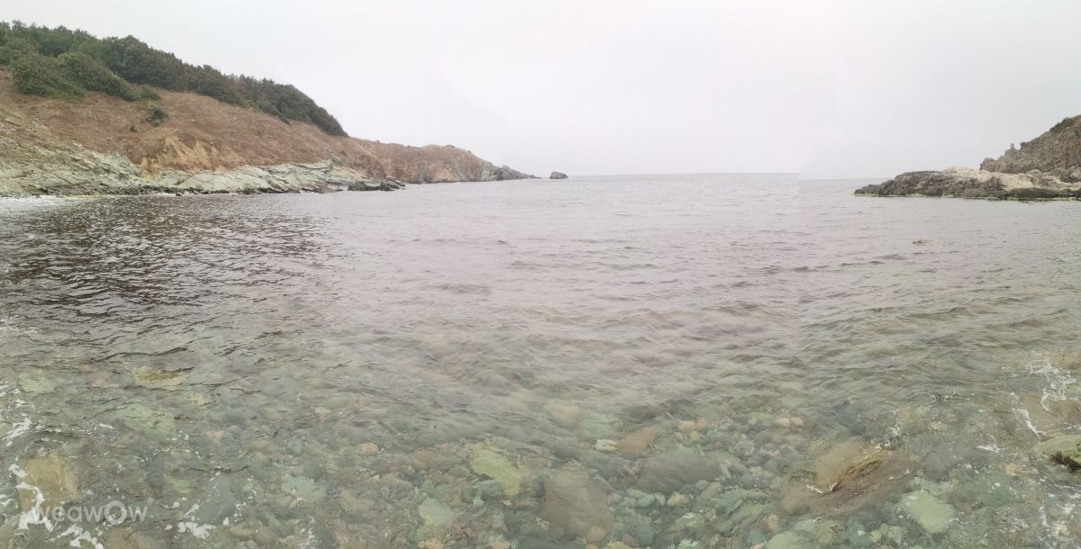 摄影师 NikolayPaunchev，Синеморец的天气照片 - Weawow