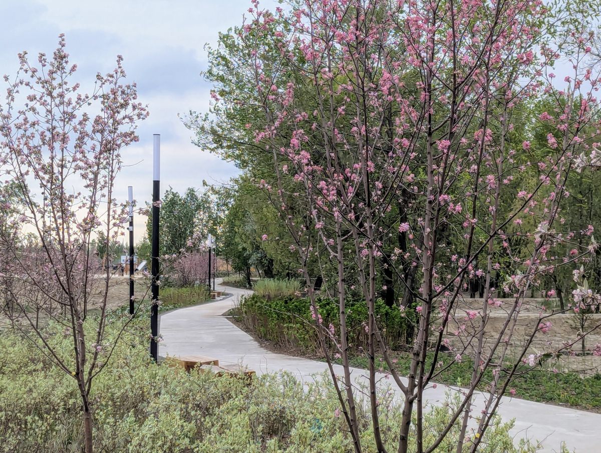 Fotos do tempo em Rússia. Previsões do tempo com lindas fotos de SergeiZ