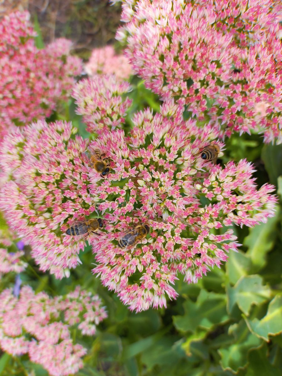 Фотографии Погоды в Фастов. Прогнозы погоды с чудесными фотографиями, сделанными teplota