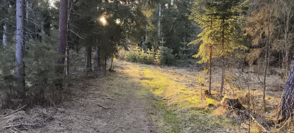 Fotos sobre el clima en Kaluga Oblast. Pronósticos del tiempo con hermosas fotos de Aleksei