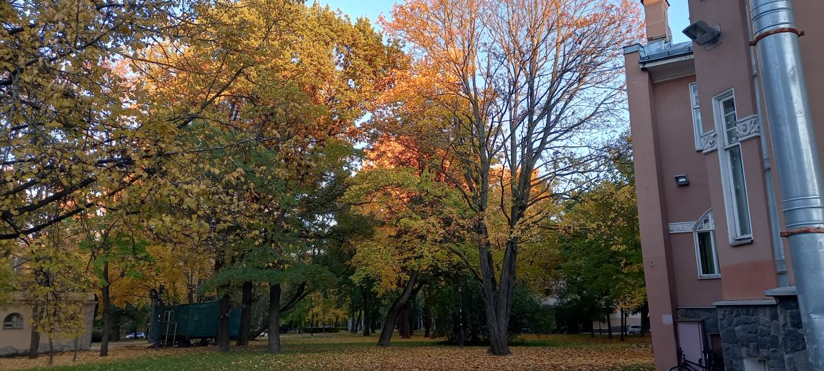 Fotógrafo Prohojiy, Fotos sobre el clima en Pushkin - Weawow
