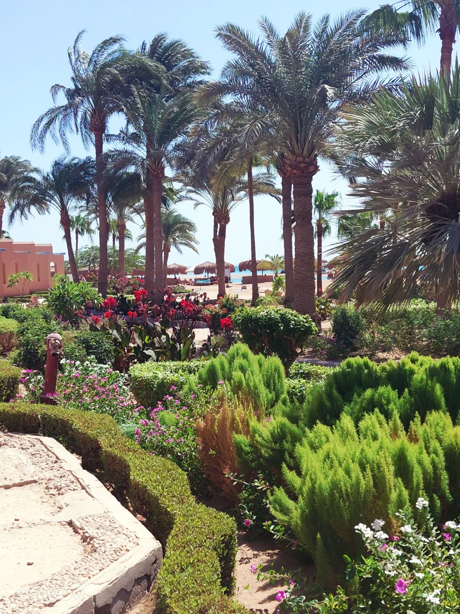 Weather Photos in Egypt. Weather forecasts with beautiful photos by NiciMu