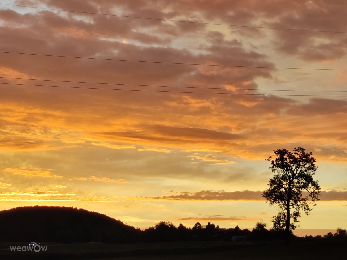 摄影师 Brtd，Allersberg的天气照片 - Weawow