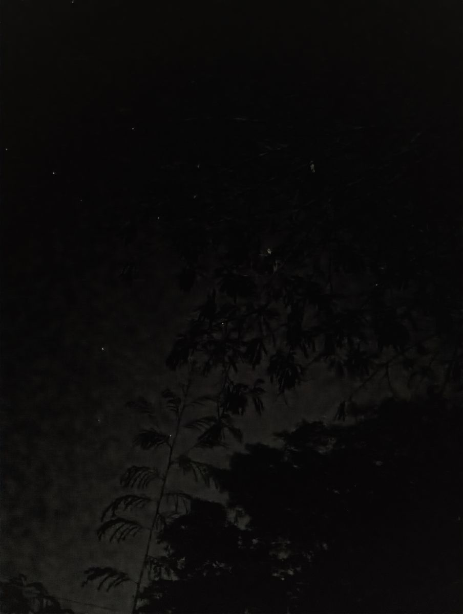 Veracruz的天气照片. 天气预报，带Bluking精美的照片