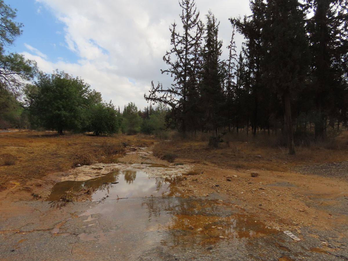 Photos météo à Israël. Prévisions météo avec de superbes photos de Sviatoslav