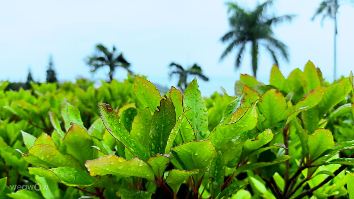 Fotografos Takimi-sky, Fotos do tempo em Nakama - Weawow