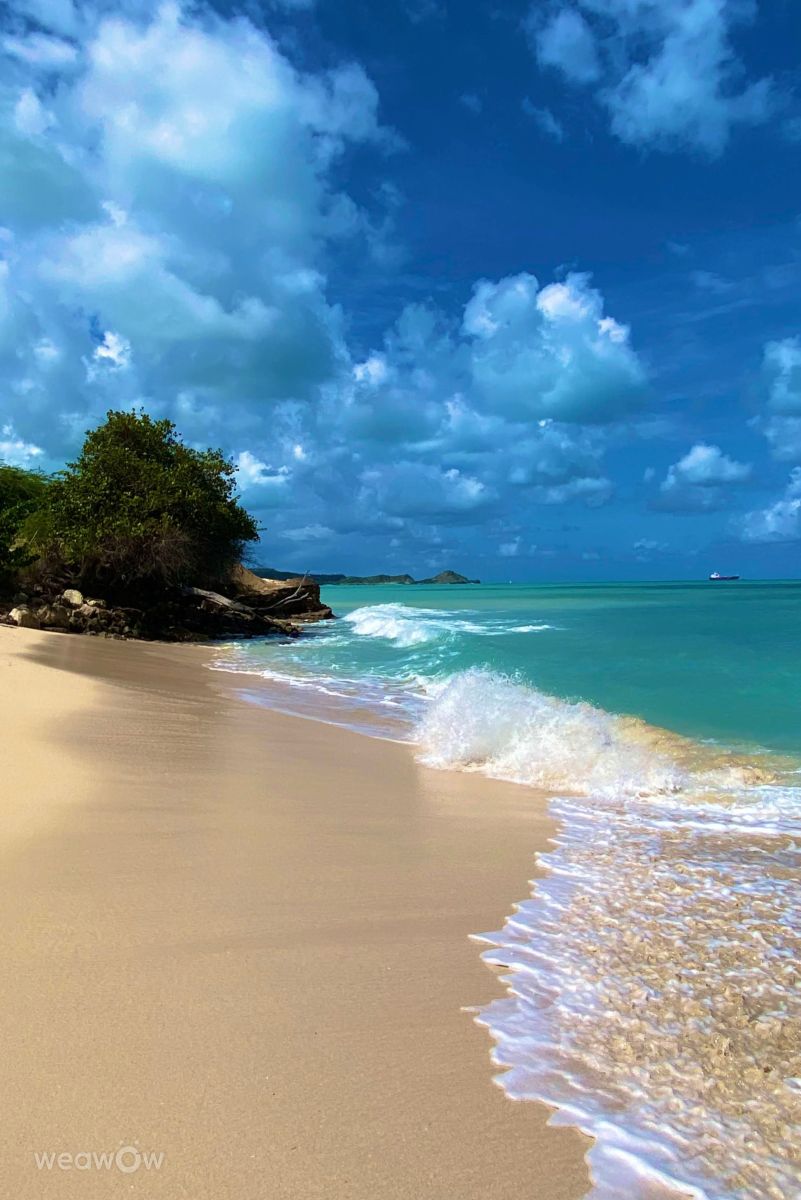 Weather forecasts with beautiful photos by LadyLesa