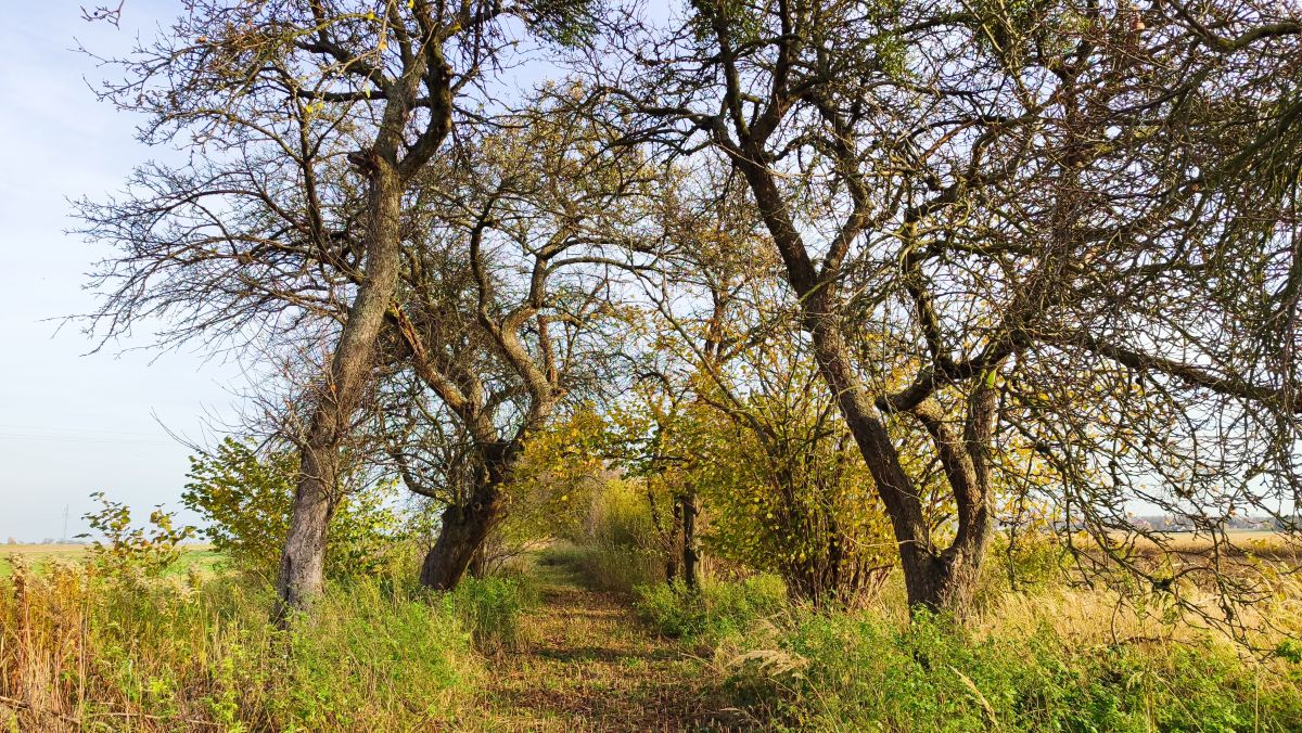 Photographer Romek58, Weather Photos in Wieluń - Weawow