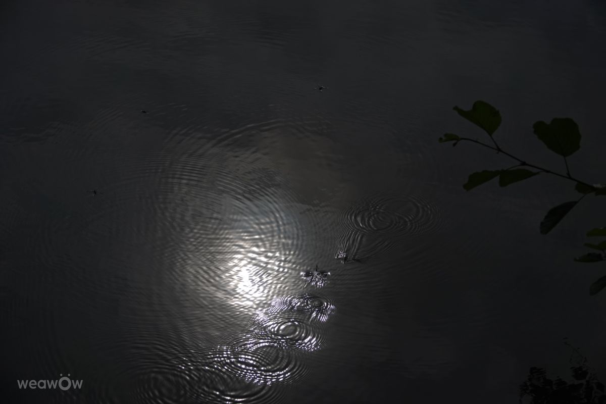 写真家 Vasek325、Praha 4の天気写真 - Weawow