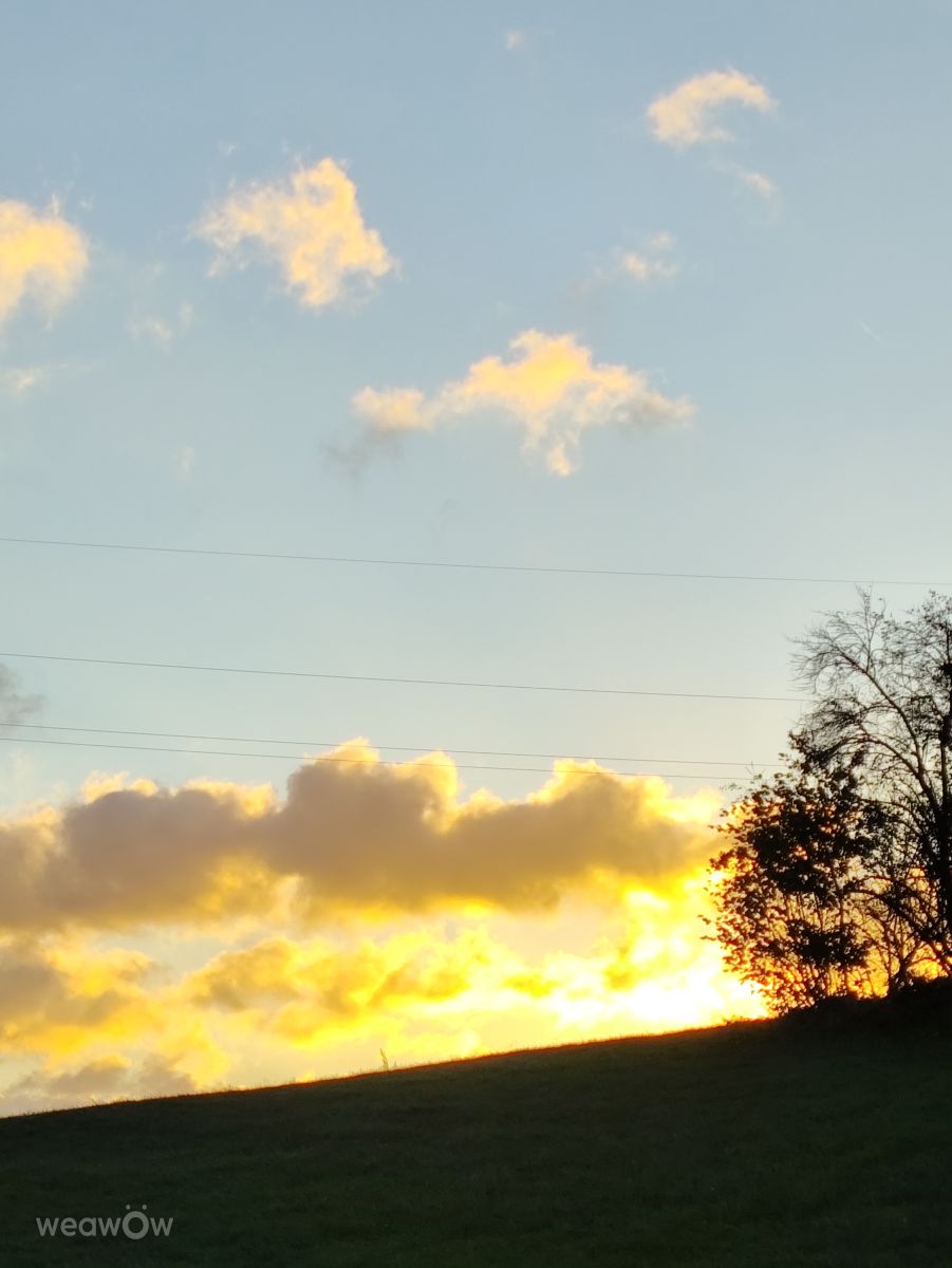 Photographe Brtd, Photos météo à Allersberg - Weawow