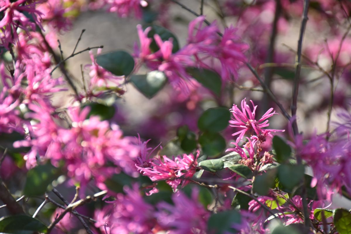 Photographer 1stEyeFocused, Weather Photos in Branford - Weawow