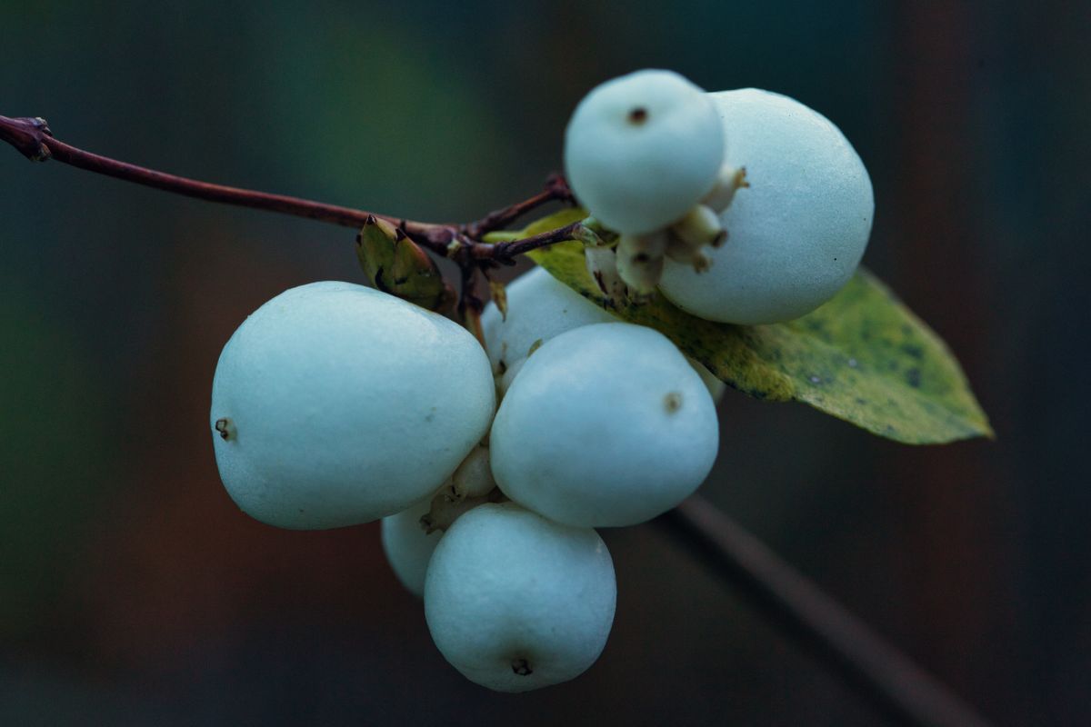 グダニスクの天気写真. martinm611の美しい写真による天気予報