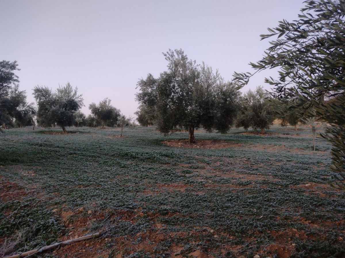 Weather Photos in Grenada. Weather forecasts with beautiful photos by Paracelso