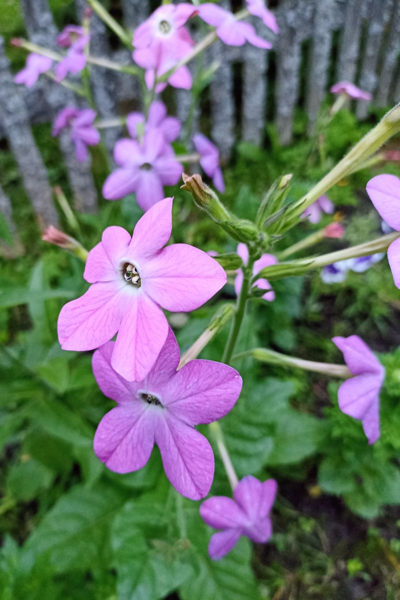 Photos météo à Moscow Oblast. Prévisions météo avec de superbes photos de 19Larisa46