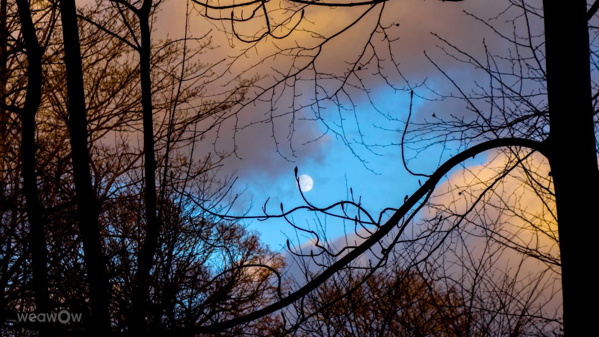 Nhiếp ảnh gia DarekCho, Hình ảnh Thời tiết ở Gainsborough - Weawow