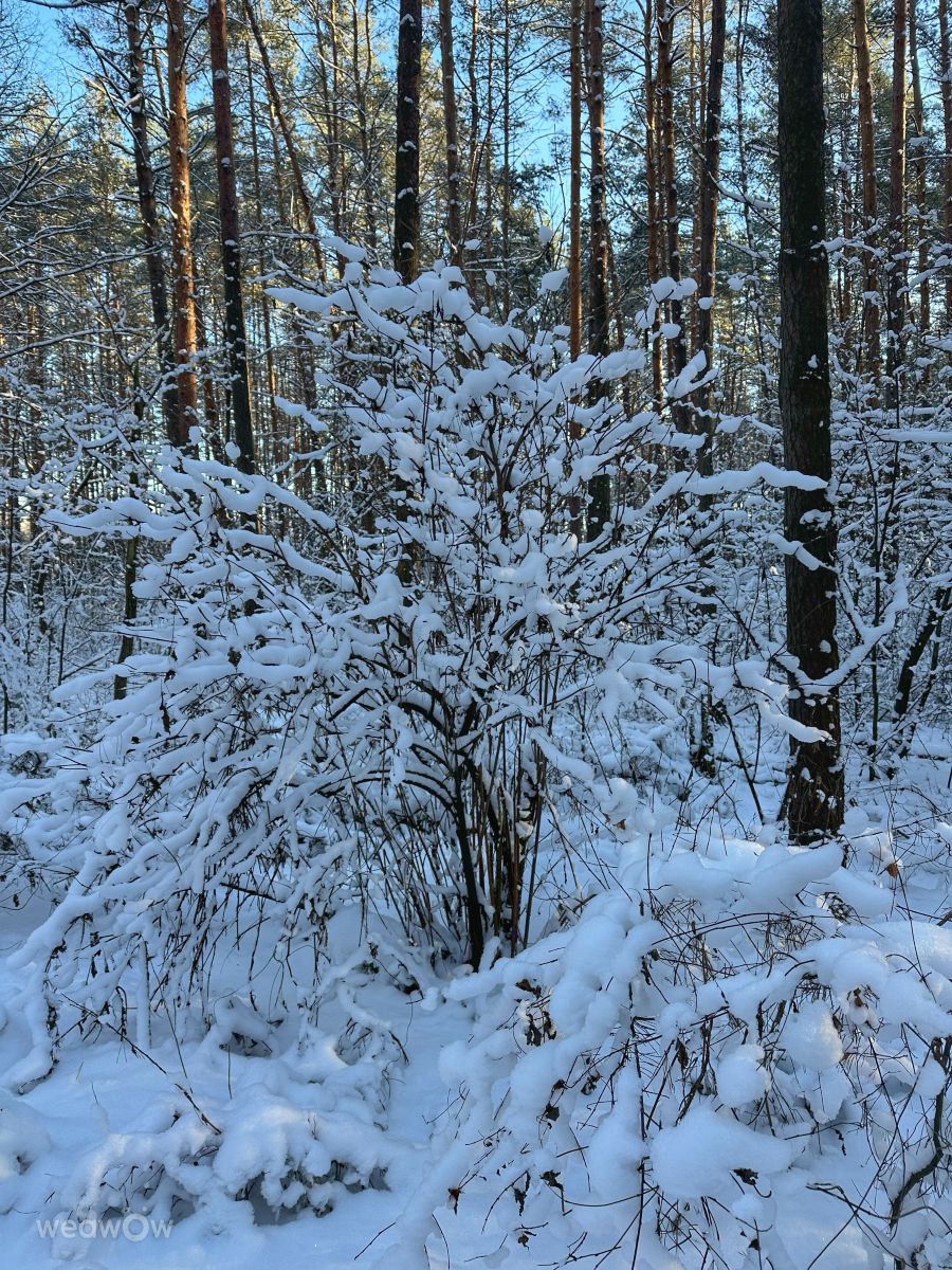 Fotos do tempo em Irpin. Previsões do tempo com lindas fotos de Інна