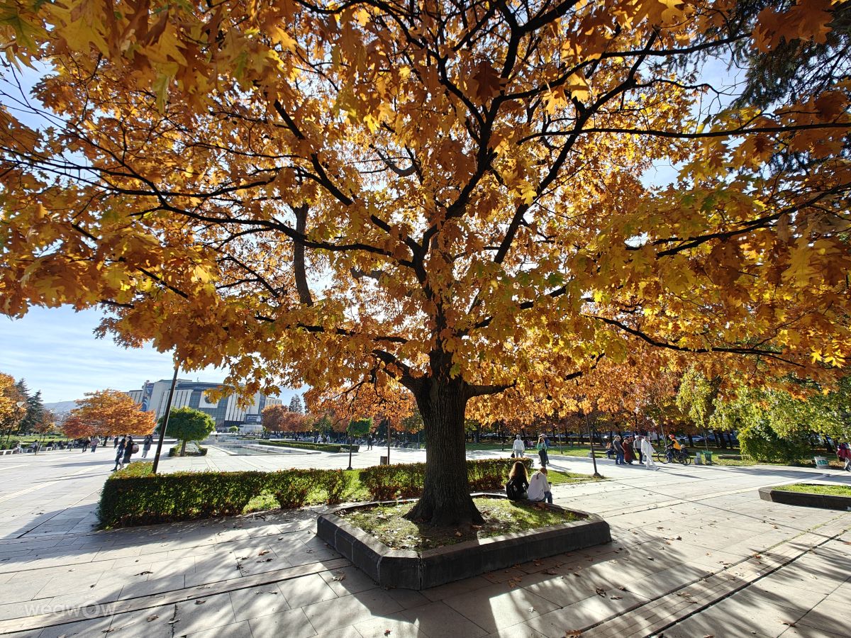 ソフィアの天気写真. Rosiiiの美しい写真による天気予報