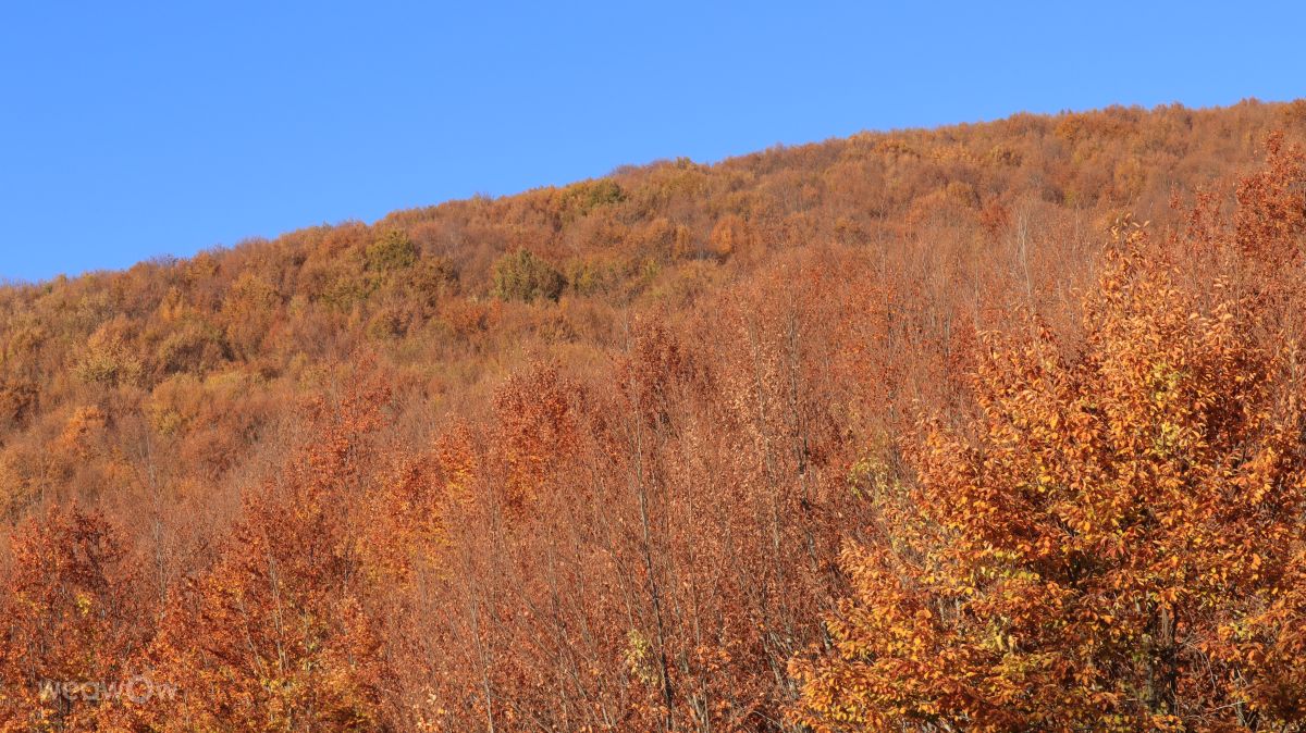 Фотографии Погоды в Греция. Прогнозы погоды с чудесными фотографиями, сделанными Antony_Bouchagier78
