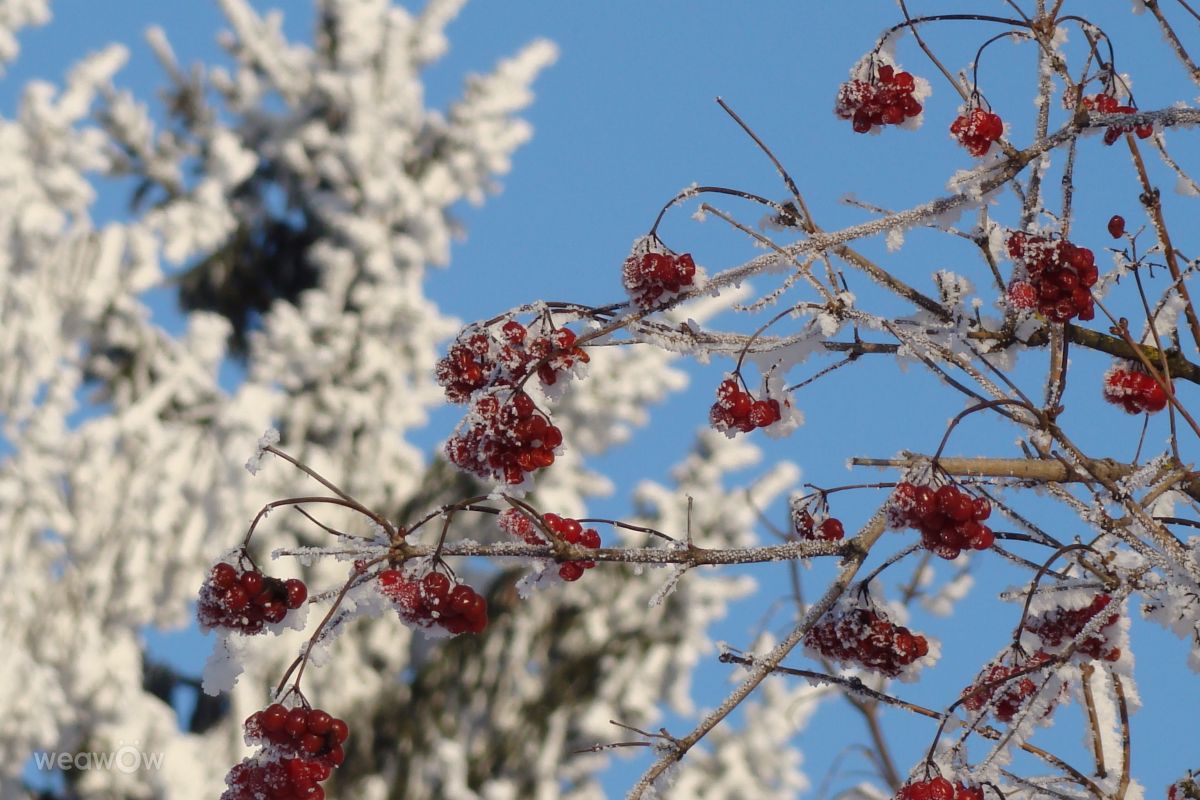 Weather Photos in Тернопіль. Weather forecasts with beautiful photos by Дмитро_Кривий-1