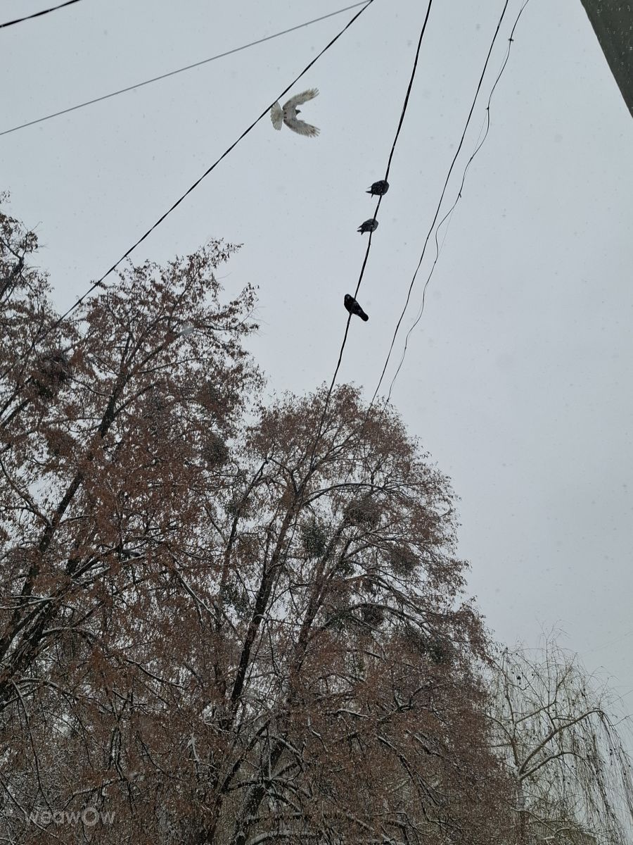 Photographer Iryna, Weather Photos in Kharkiv - Weawow