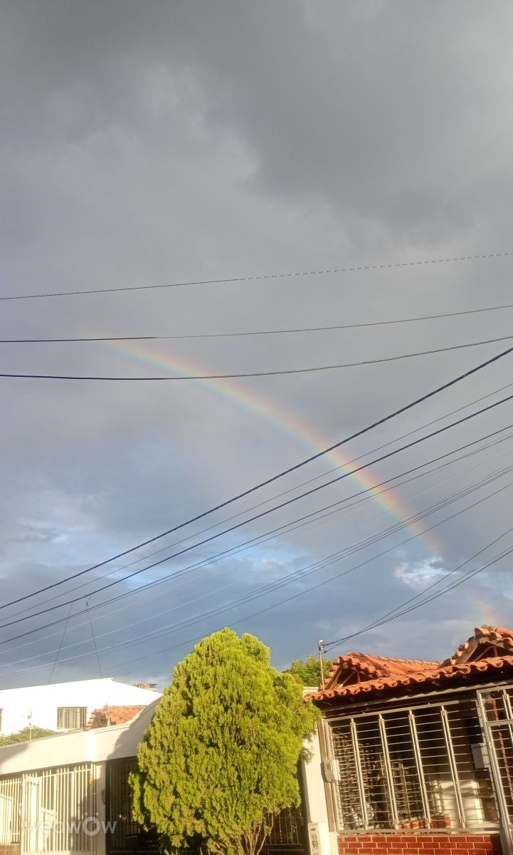 Wettervorhersagen mit schönen Fotos von prana15