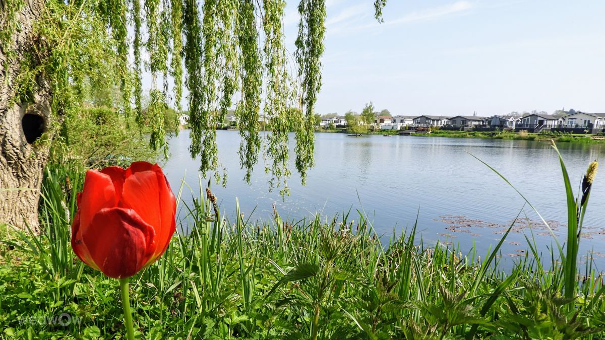 Weather Photos in Yarwell Mill Country Park. Weather forecasts with beautiful photos by kns666