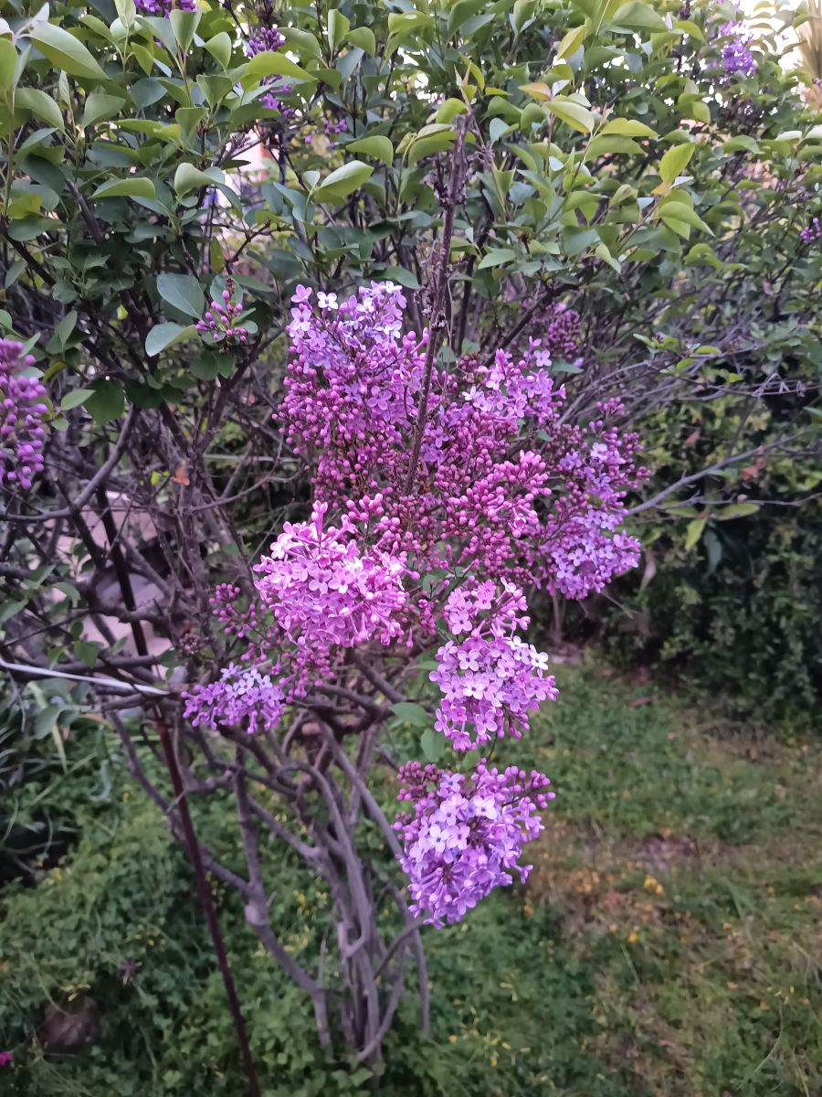 Weather Photos in Central Greece. Weather forecasts with beautiful photos by atomo