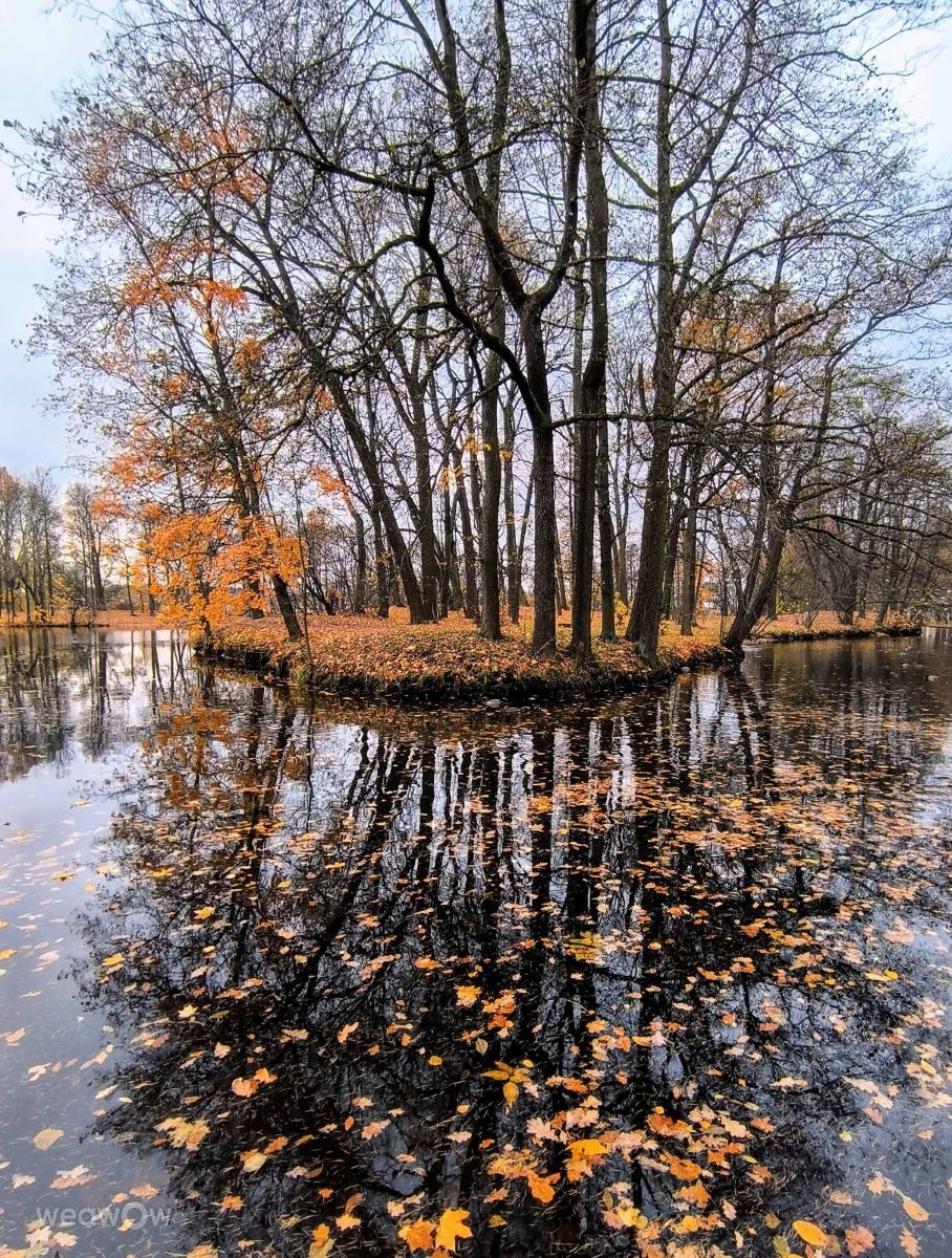 Photographer Jea, Weather Photos in Ostrov Yelagin - Weawow