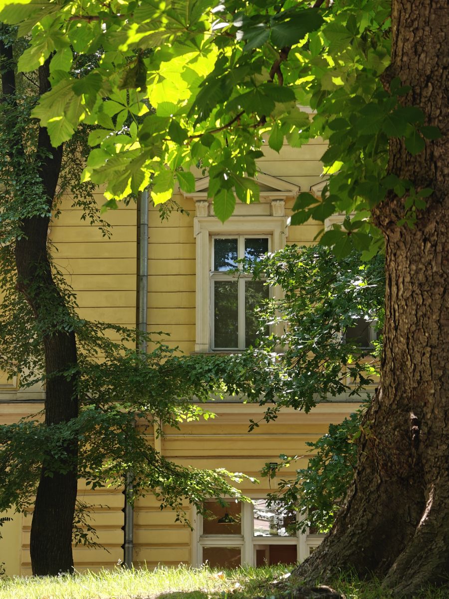 Фотографии Погоды в София. Прогнозы погоды с чудесными фотографиями, сделанными Rosiii