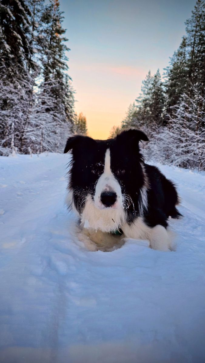 Wettervorhersagen mit schönen Fotos von Piia