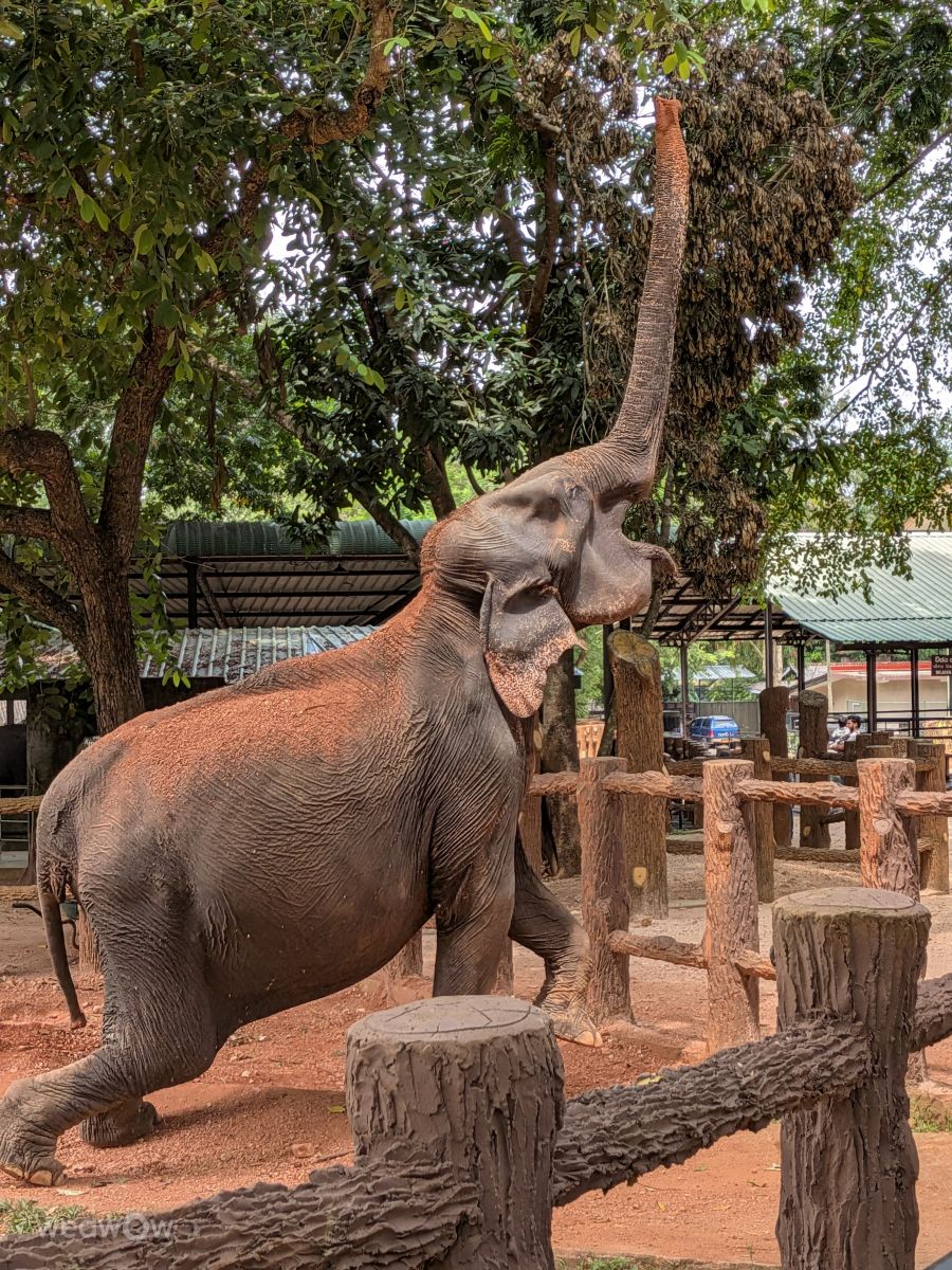 Weather forecasts with beautiful photos by lunatibi