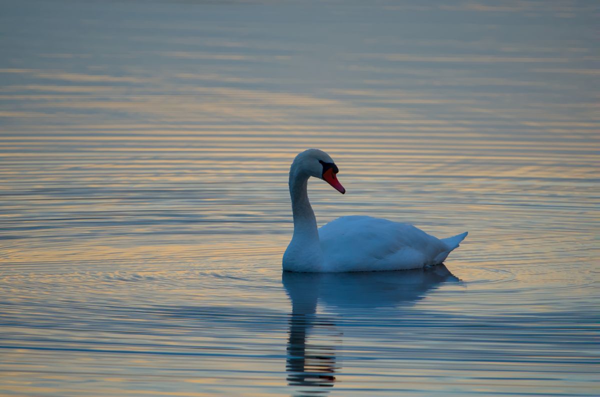 Weather forecasts with beautiful photos by Nebula_andNature