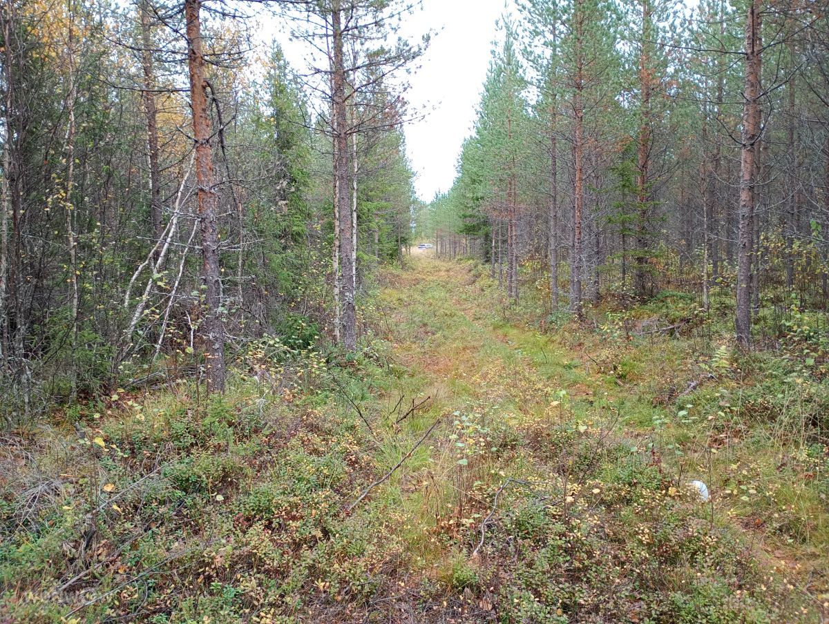 Prévisions météo avec de superbes photos de Juki