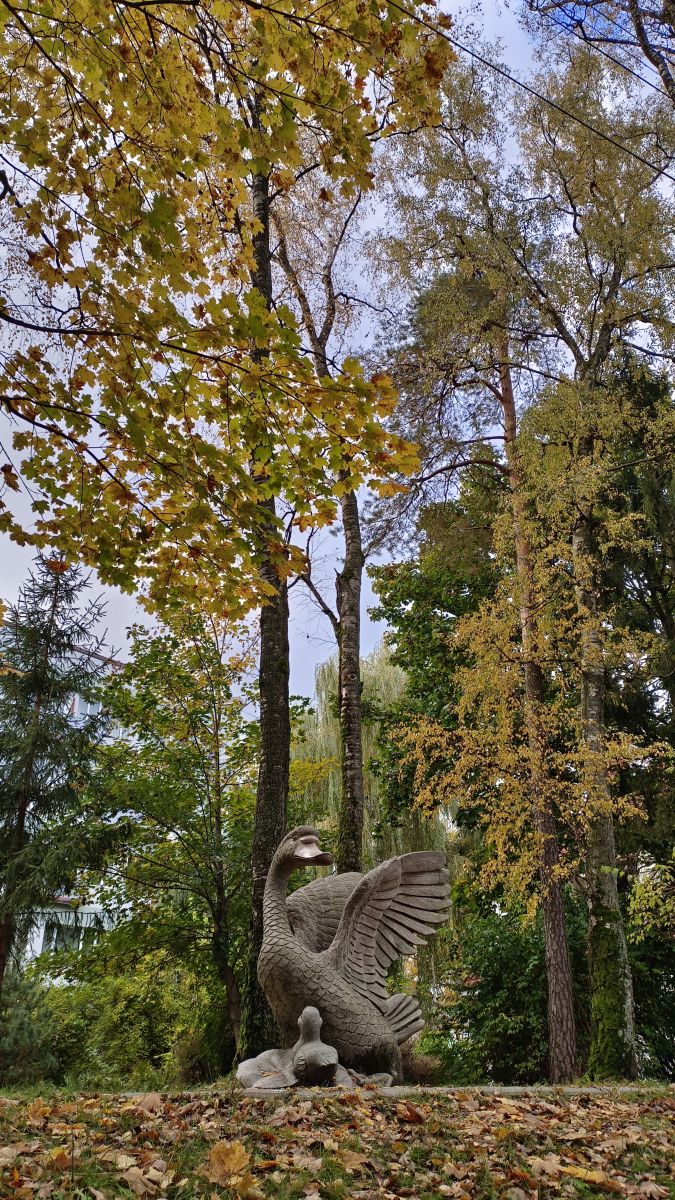 Fotos sobre el clima en Svetlogorsk. Pronósticos del tiempo con hermosas fotos de Михаил Бондаренко